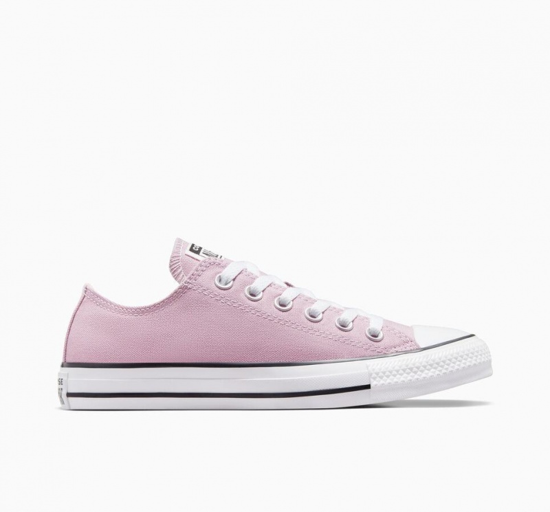 Basket Basse Converse Chuck Taylor All Star Seasonal  | QPA-2853559