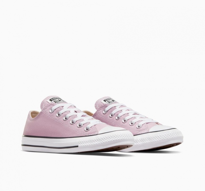 Basket Basse Converse Chuck Taylor All Star Seasonal  | QPA-2853559