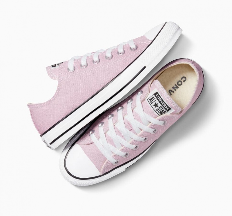 Basket Basse Converse Chuck Taylor All Star Seasonal  | QPA-2853559