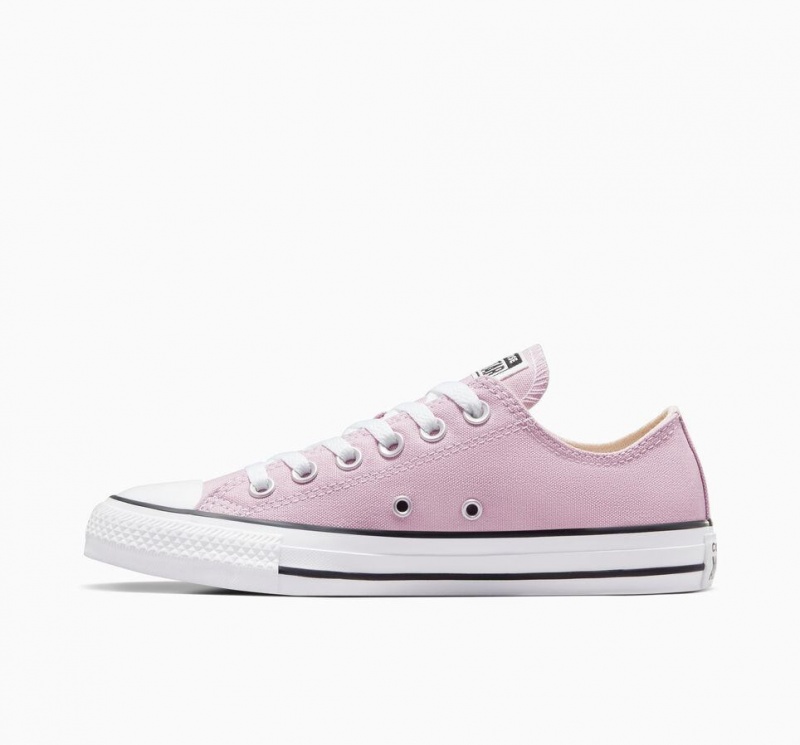 Basket Basse Converse Chuck Taylor All Star Seasonal  | QPA-2853559