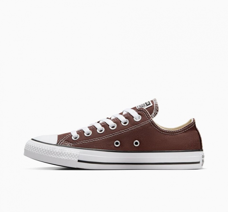 Basket Basse Converse Chuck Taylor All Star Seasonal  | UWD-7214213