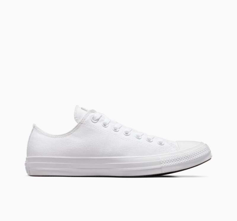 Basket Basse Converse Chuck Taylor All Star  | MOL-8386169