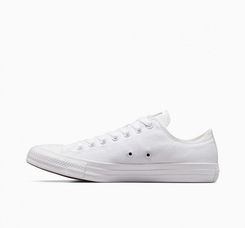 Basket Basse Converse Chuck Taylor All Star  | MOL-8386169