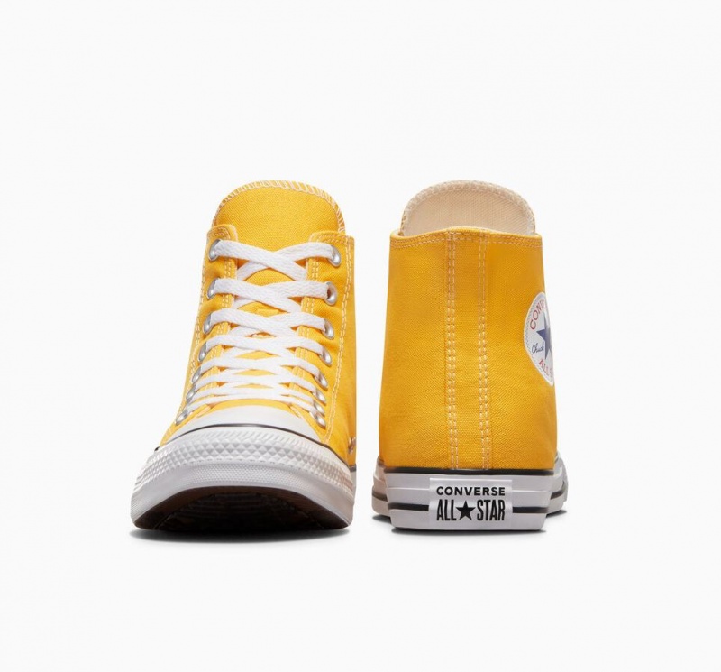 Baskets Montantes Converse Chuck Taylor All Star  | TLU-3951250