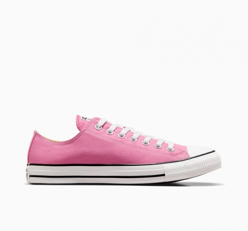 Basket Basse Converse Chuck Taylor All Star  | BCD-0555385