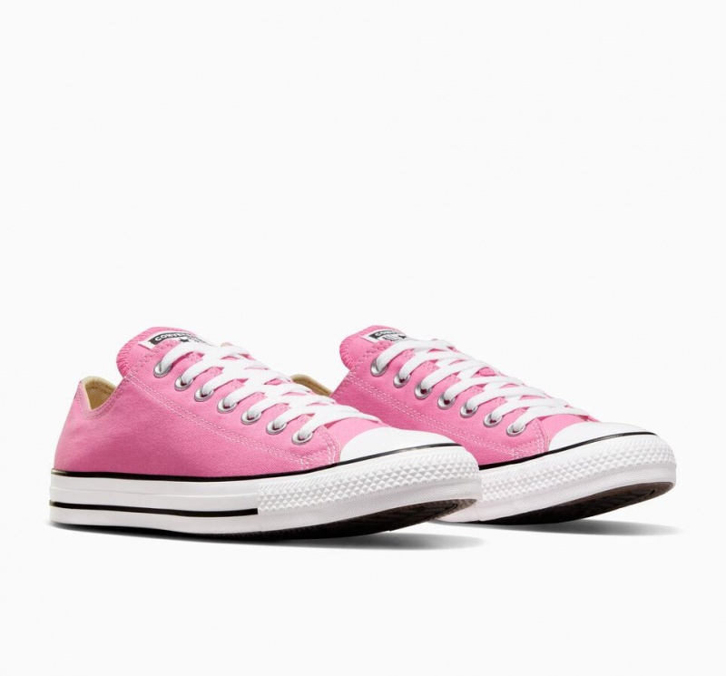 Basket Basse Converse Chuck Taylor All Star  | BCD-0555385