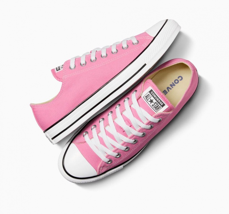 Basket Basse Converse Chuck Taylor All Star  | BCD-0555385