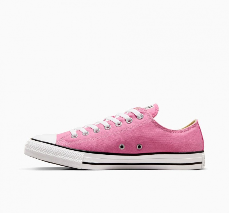 Basket Basse Converse Chuck Taylor All Star  | BCD-0555385